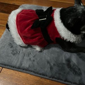 Mrs.Claus Christmas outfit For small dogs